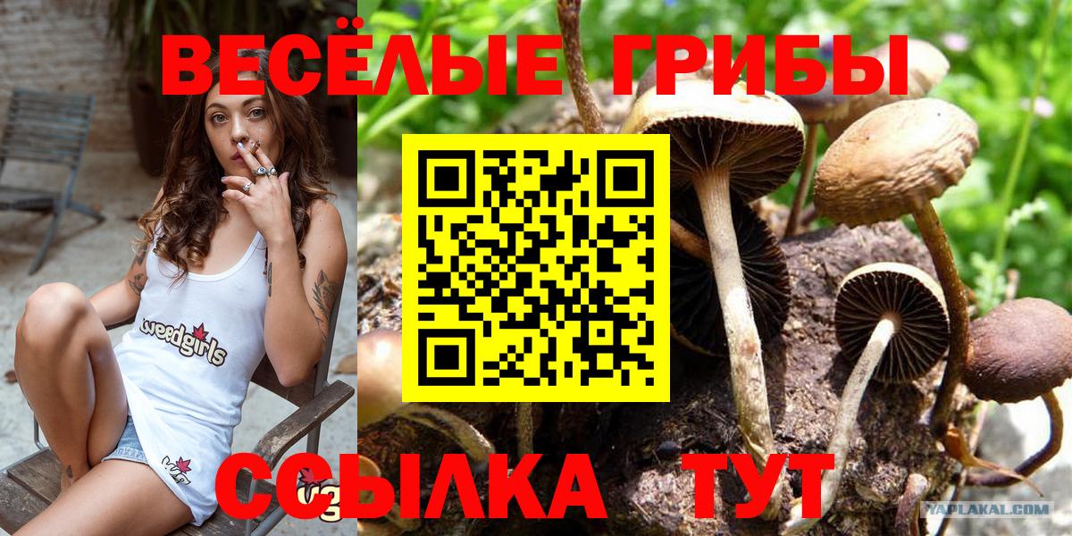 Псилоцибиновые грибы ЛСД  Галлюциногенные грибы ЛСД  Воткинск  что такое   Вход с VPN 